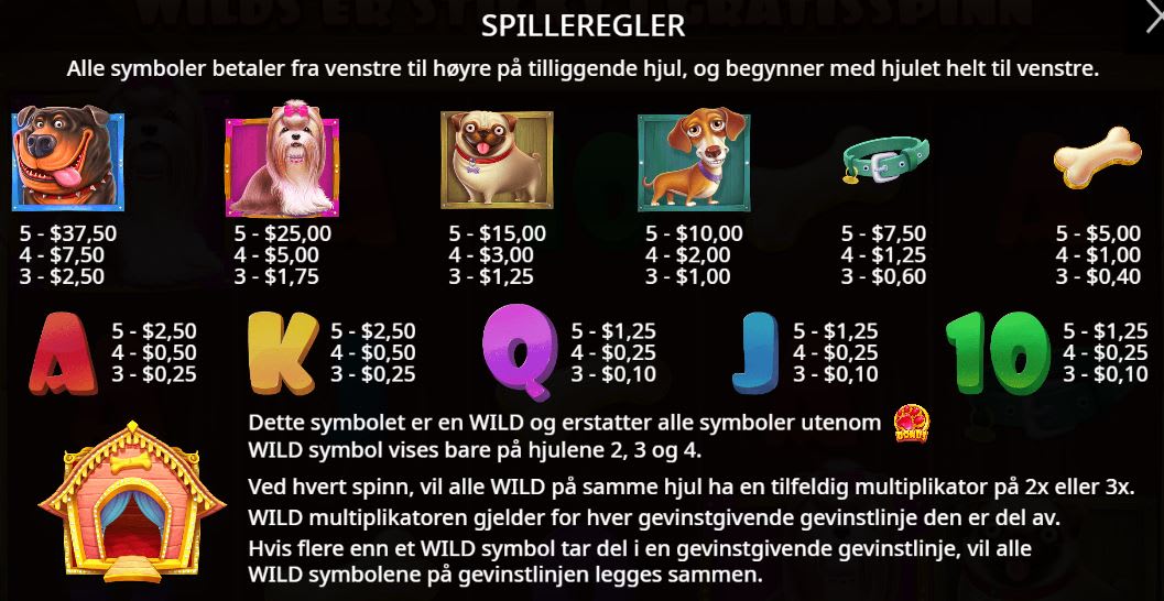 Symboler og betalingsplan i The Dog House