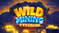 Norske Casinoer - Nettcasino for Nordmenn
