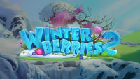 Winterberries 2