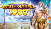 Olympus' porter 1000