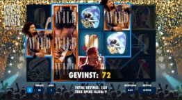 GnR Free Spins