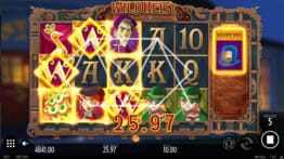 Tilfeldig wild