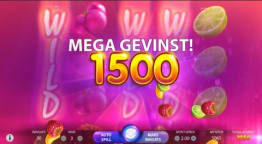 Mega gevinst
