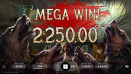 Mega gevinst