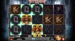 Testament Gevinst