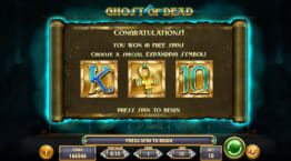 Free Spins
