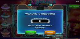 Gamble på casino