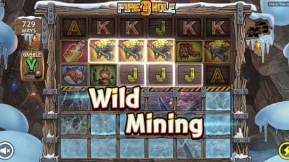Wild i Fire in the hole 3