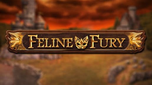 Feline Fury