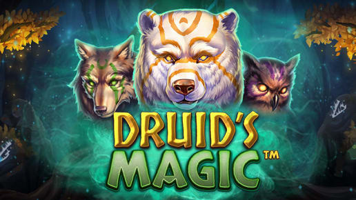 Druids Magi