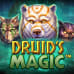 Druid's Magic
