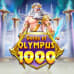 Olympus' porter 1000